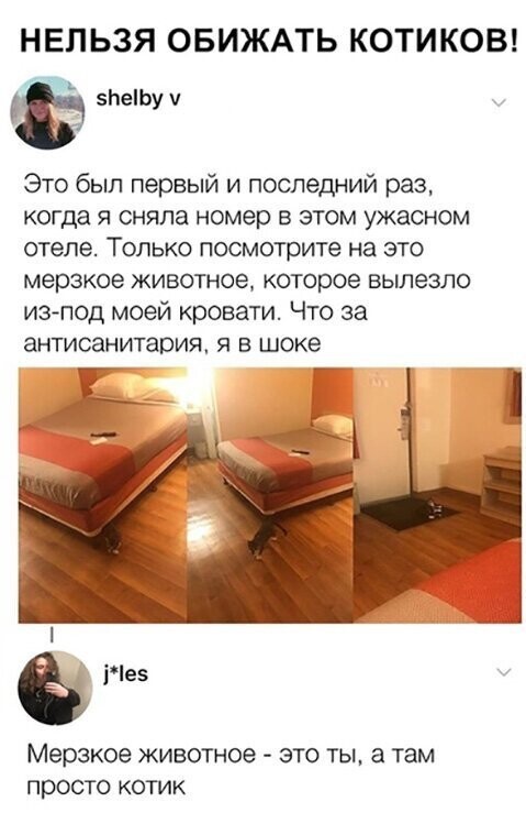 Прикольные и смешные картинки