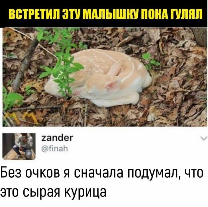 Прикольные и смешные картинки