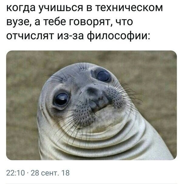 Прикольные и смешные картинки