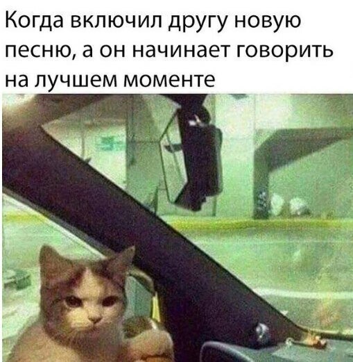 Прикольные и смешные картинки