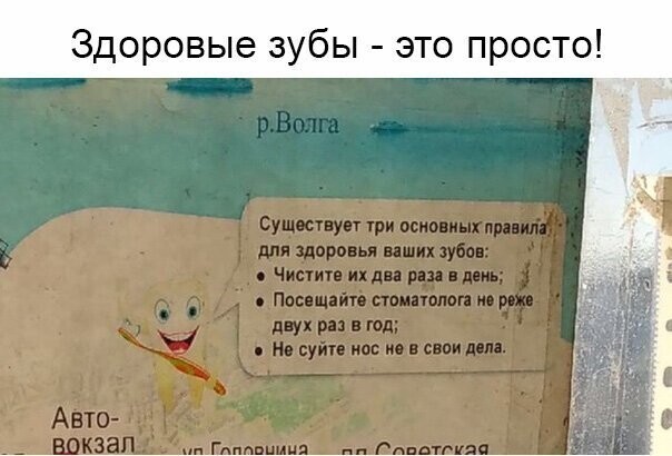 Прикольные и смешные картинки