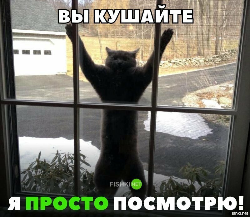 Кушайте , кушайте