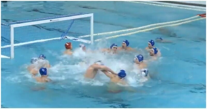 Драка спортсменов во время матча чемпионата России по водному поло попала на видео