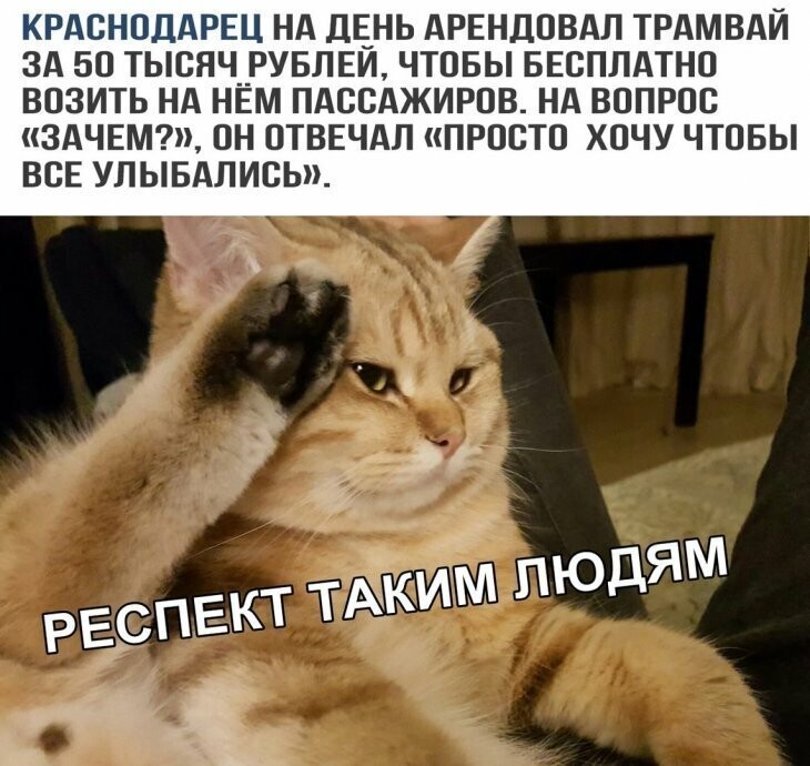 Прикольные и смешные картинки