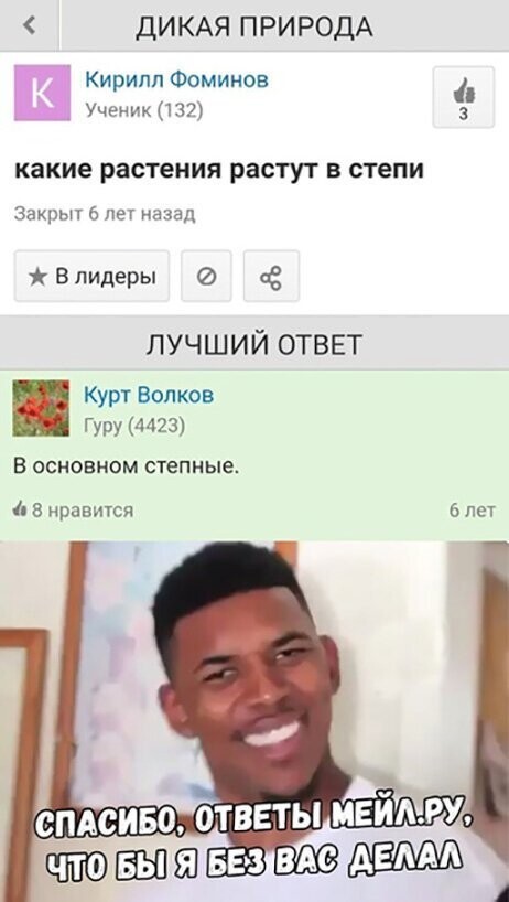 Прикольные и смешные картинки