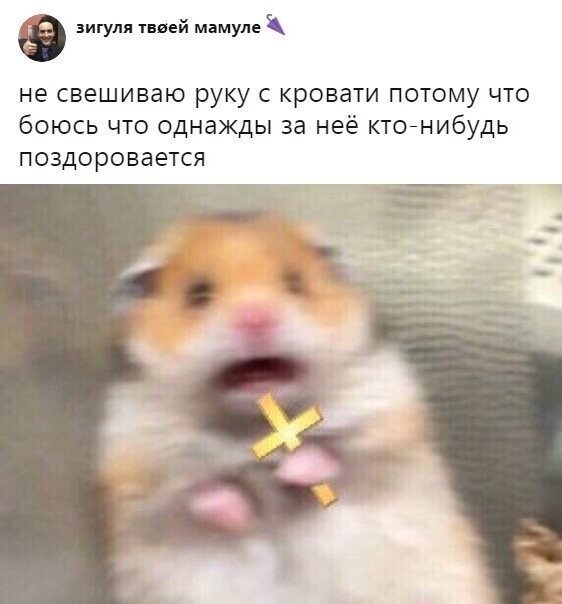 Скриншоты из социальных сетей