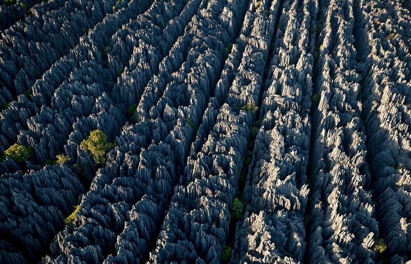 Цинги-де-Бемараха - странные минеральные леса, заповедник расположенный примерно в 80 километрах от западного побережья Мадагаскара