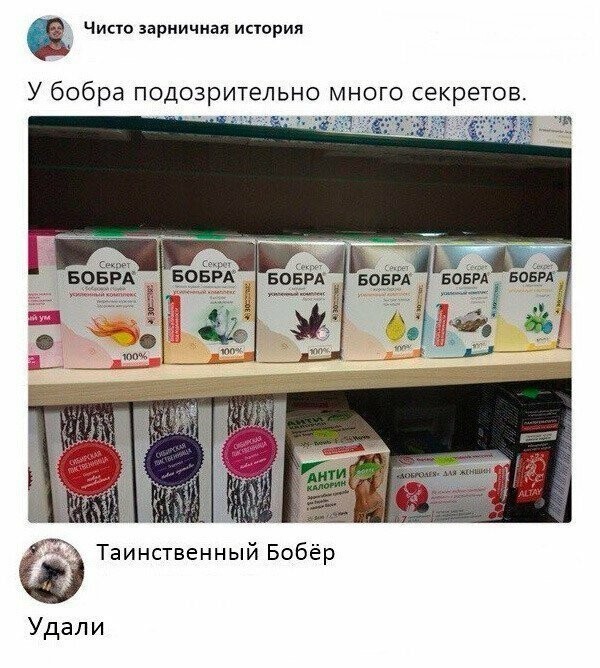 Прикольные и смешные картинки