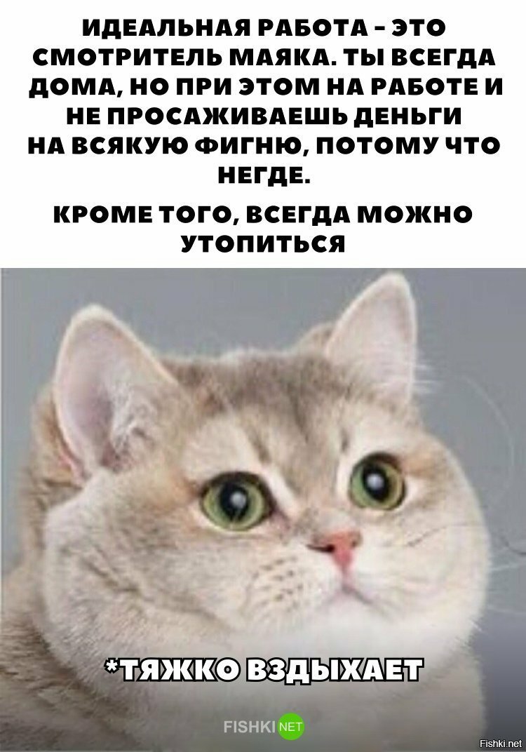 Идеальная работа