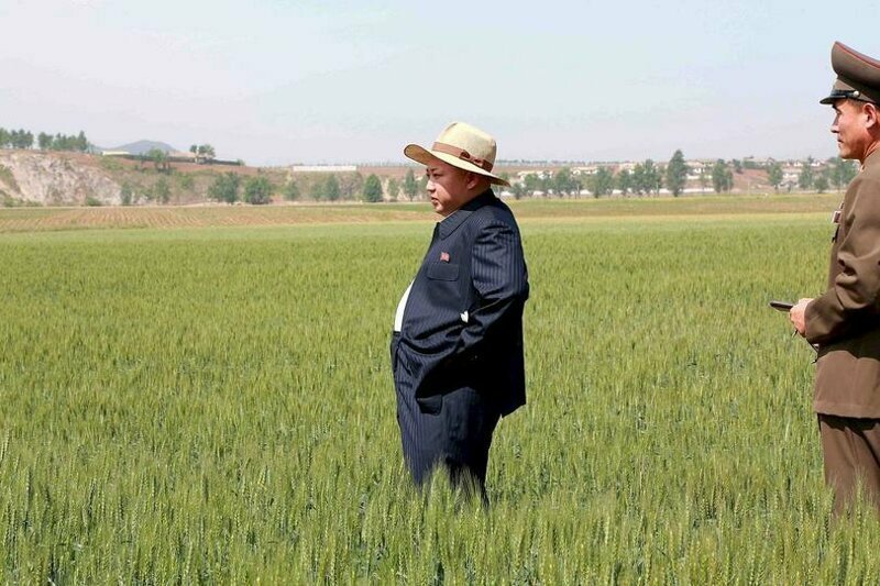 Северная Корея попросила у России 50 тысяч тонн бесплатной пшеницы