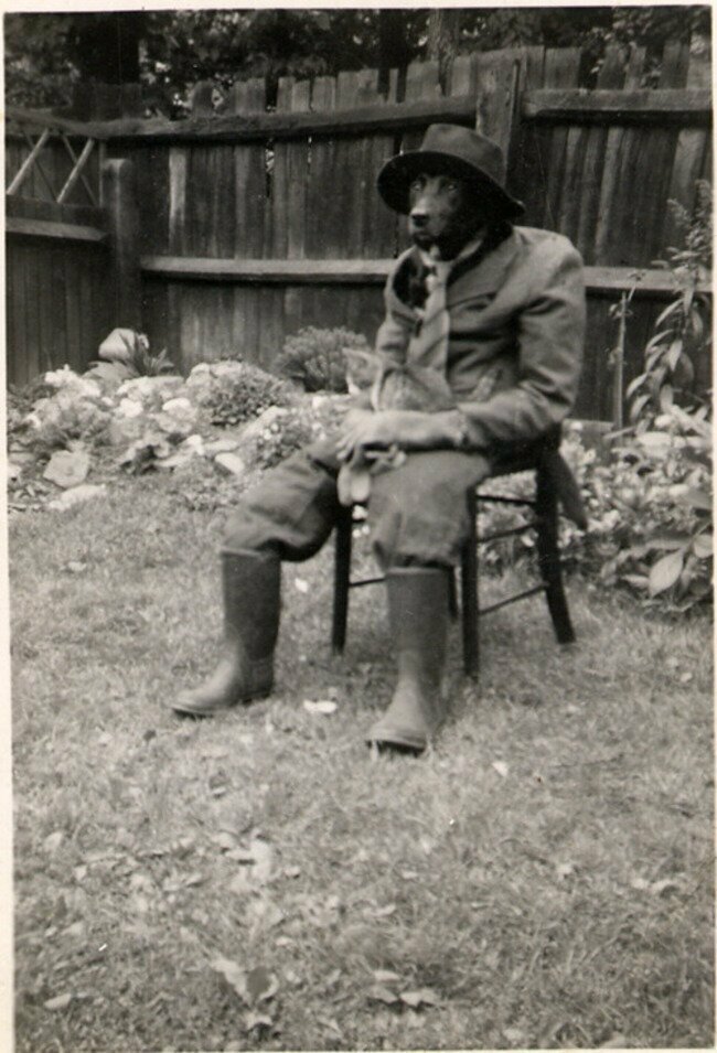 Собака, наряженная в мужской костюм, с котом на коленях (1950)