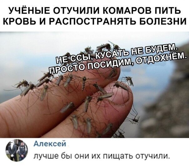 Прикольные и смешные картинки