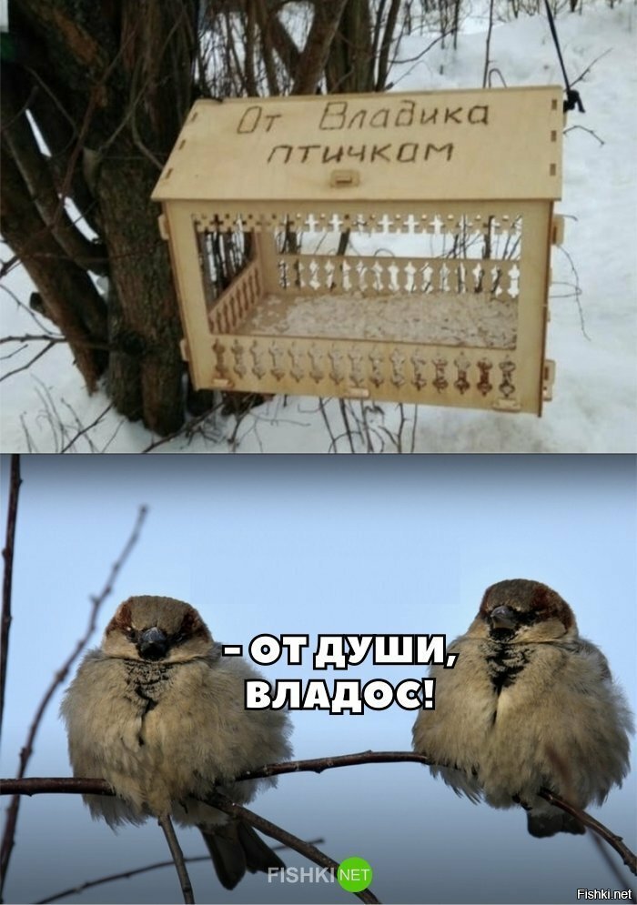 От души, Владос!