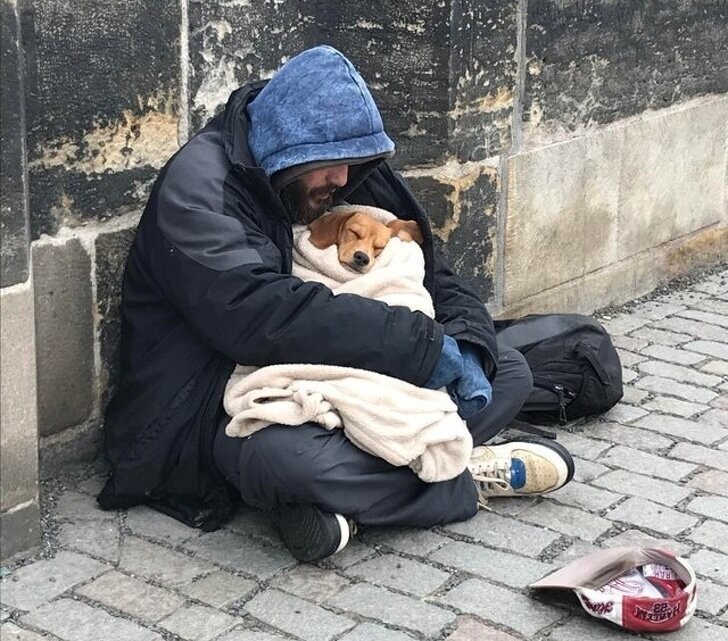«Я увидел этого человека на мосту в Праге. Было −4 °C, и он укутал собаку в свое единственное одеяло, чтобы согреть ее. Настоящий акт любви»