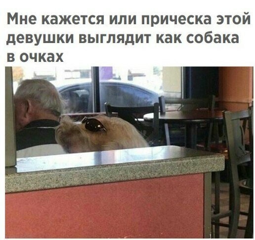 Прикольные и смешные картинки