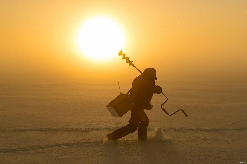 Молодой рыбак идёт через туман по реке Северная Двина, Архангельск