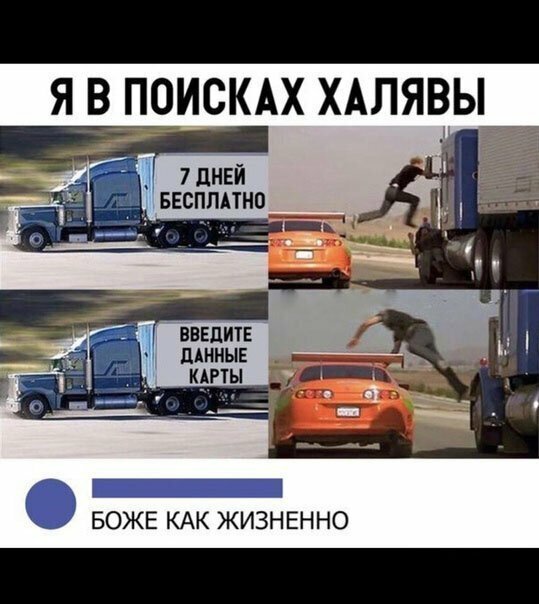 Прикольные и смешные картинки