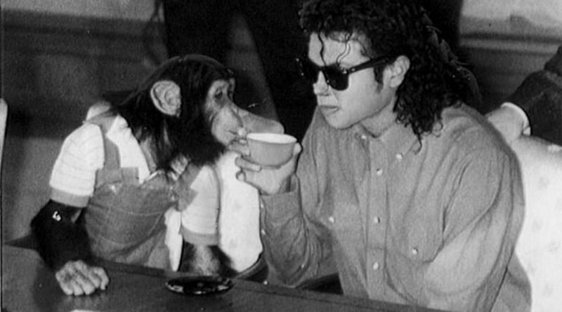 Любимый шимпанзе Майкла Джексона пытался покончить с собой, когда узнал, что его хозяина не стало