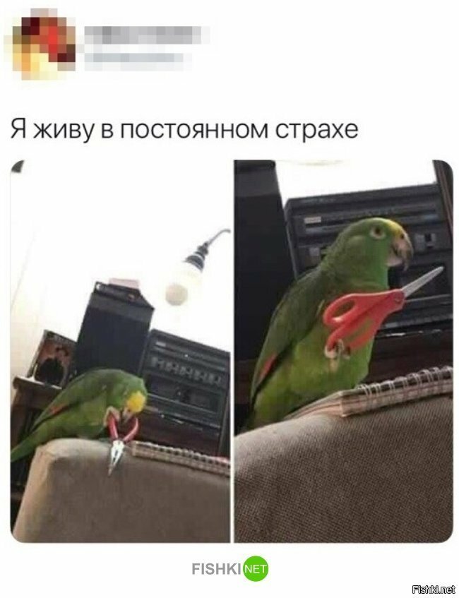 Я живу в постоянном страхе