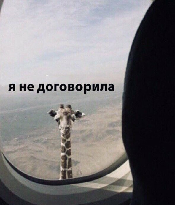 Намешалось