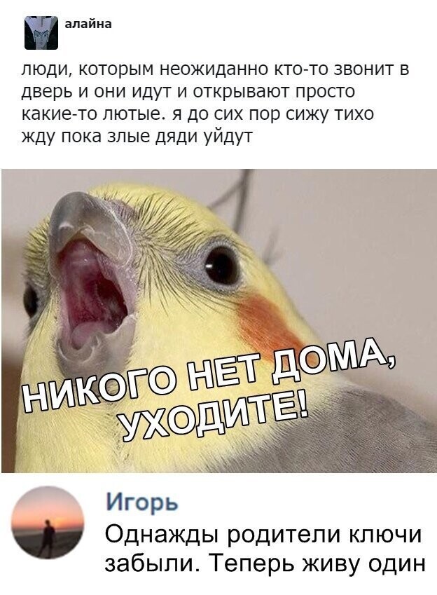 Скриншоты из социальных сетей