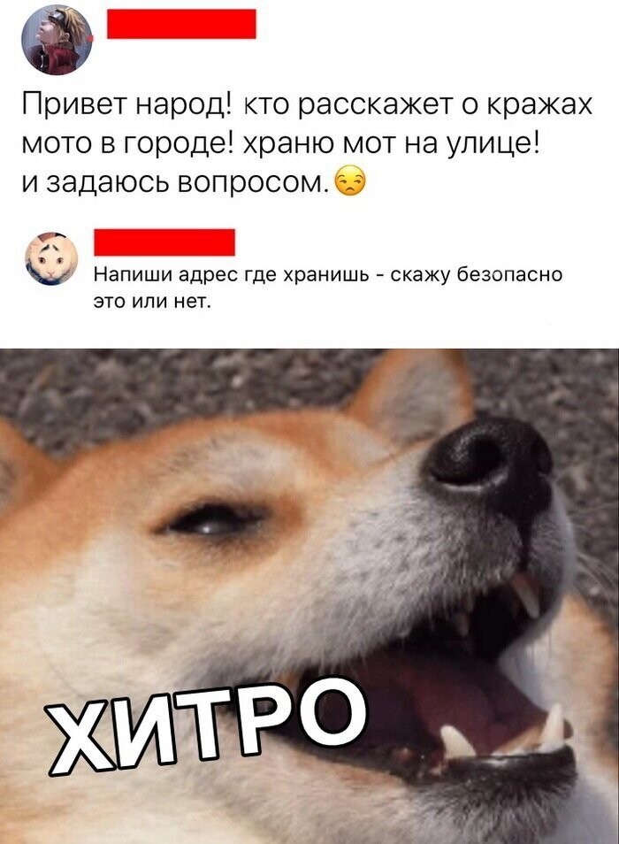 Скриншоты из социальных сетей