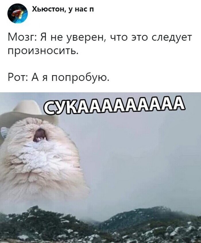 Скриншоты из социальных сетей