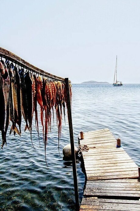 Сушка осьминогов на Скиатосе, Греция (Дэвид Фархер, категория "Еда")