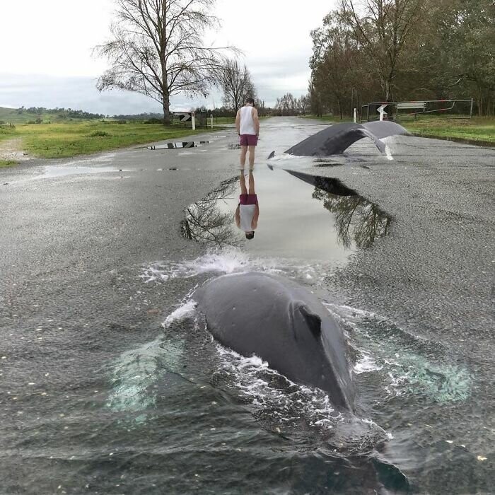 Фотохудожник из Лаоса добавляет сказки в реальность