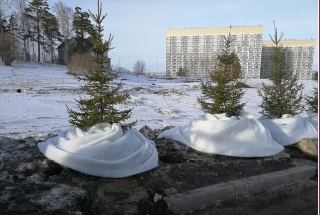 В Красноярске грязный снег закрывают синтепоном к Универсиаде 2019