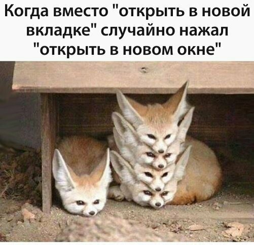 Картинки с надписями