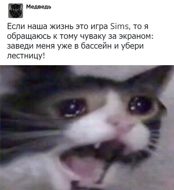 Скриншоты из социальных сетей