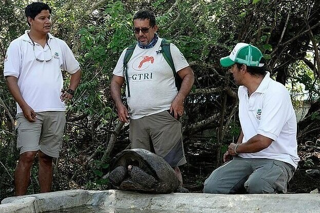 Все думали, что эти черепахи вымерли, - а они просто спрятались!
