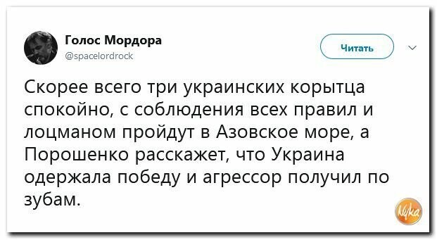 Политические вместо REXа