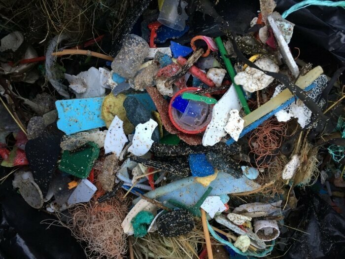 В 2018 году эта 70-летняя женщина очистила от мусора 52 пляжа