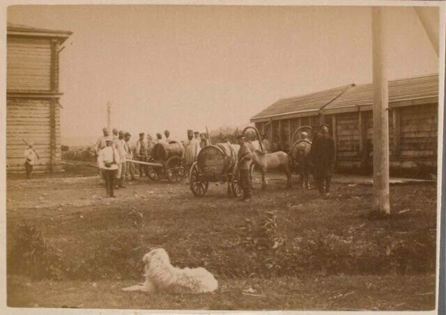 Редкие фотографии повседневной жизни на Сахалине конца XIX — начала XX века