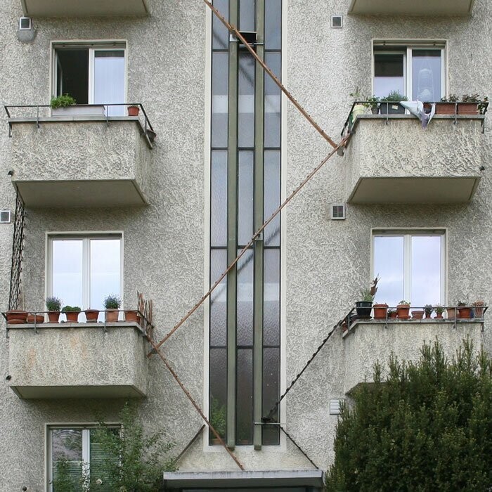 В Швейцарии делают специальные лестницы для кошек