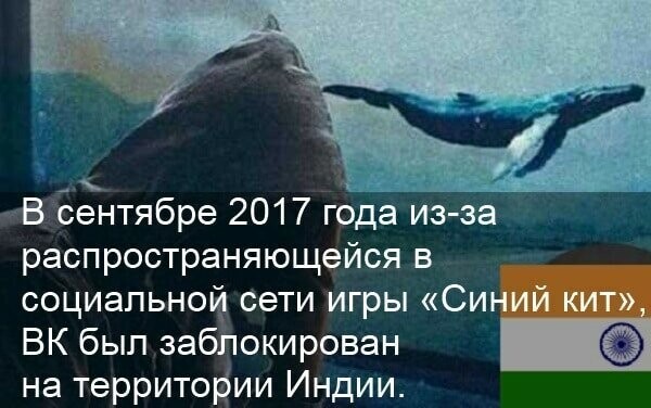 5. В 2017 году в соц. сети начала распространяться игра под названием "Синий кит", жертвами которой стали десятки тысяч людей. Зафиксированы даже смертельные случаи. ВКонтакте активно боролась с игрой, мгновенно удаляя посты с данной тематикой.