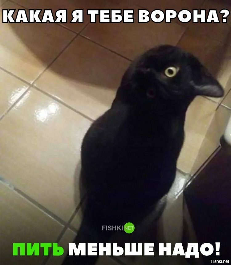 Пить меньше надо