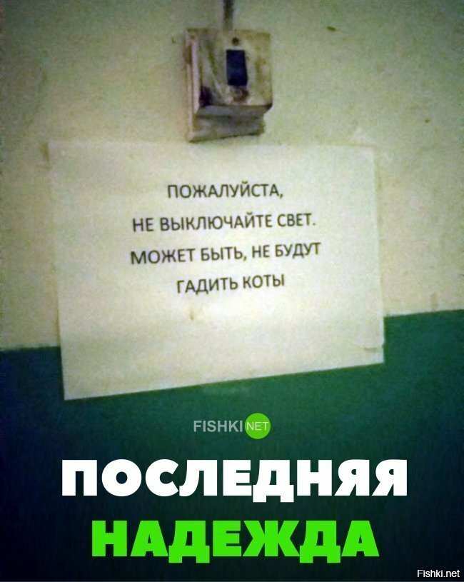 Последняя надежда