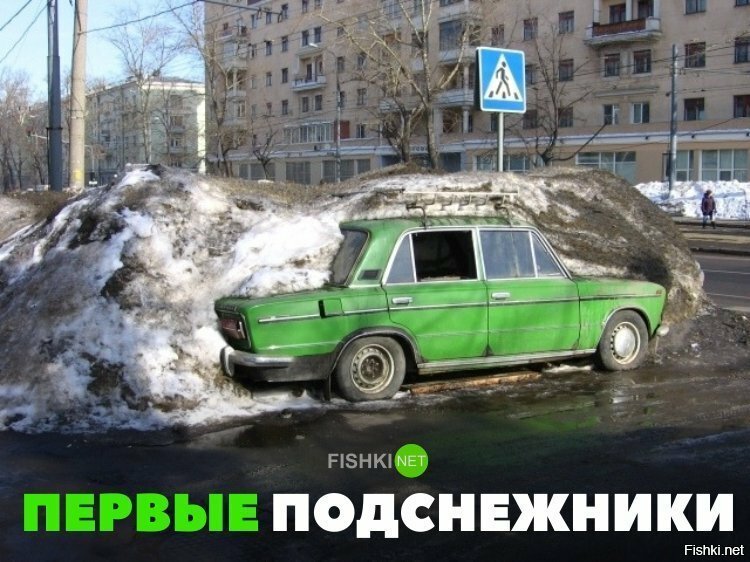 Первые подснежники