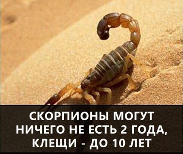 А вдруг ты не знал