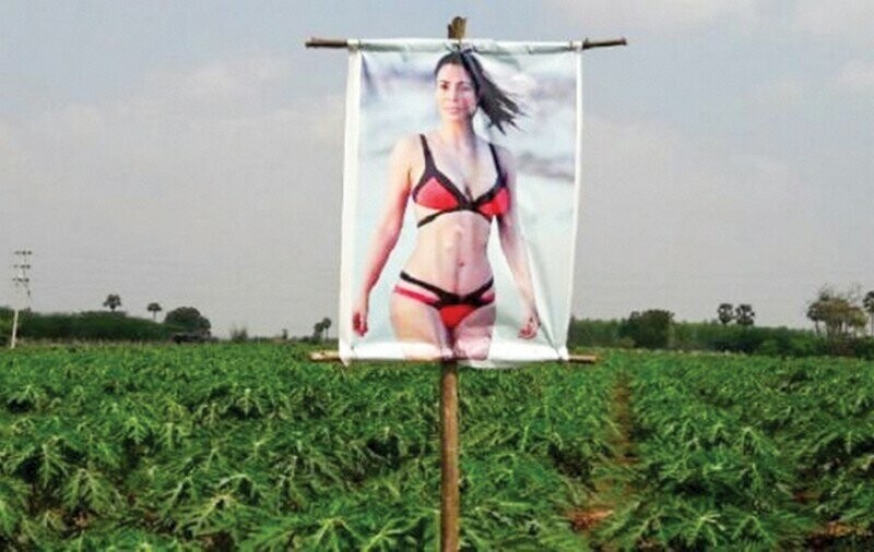 Индийский фермер защищает урожай плакатами с полуголой порнозвездой