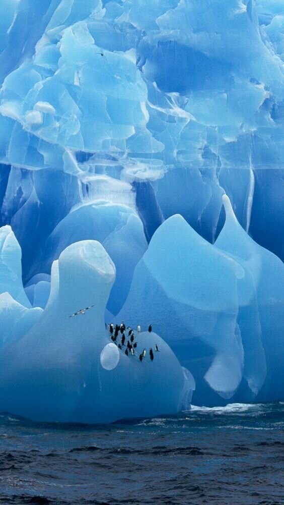 Льды Антарктиды