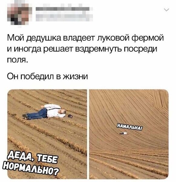 Прикольные и смешные картинки