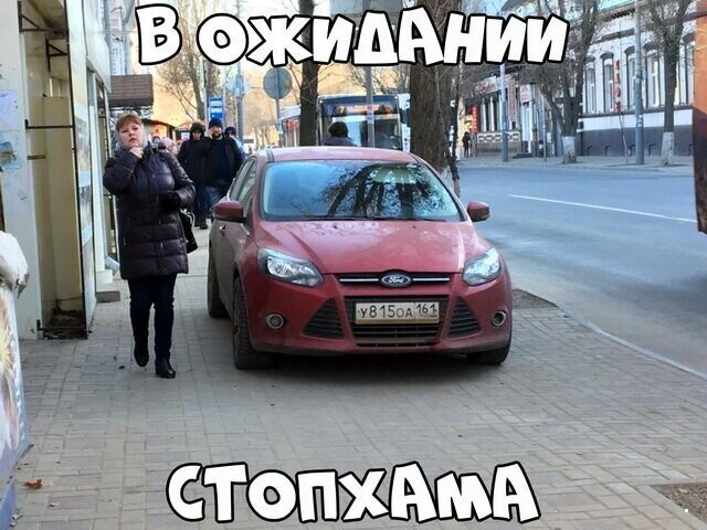 Автовсячина