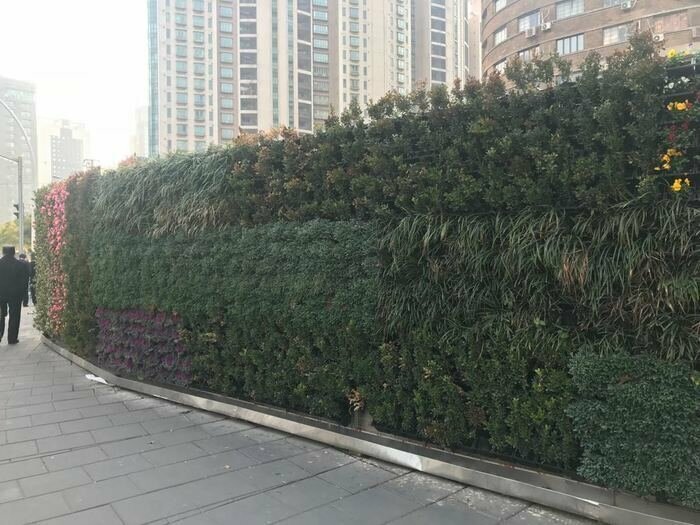 Временный забор в Шанхае