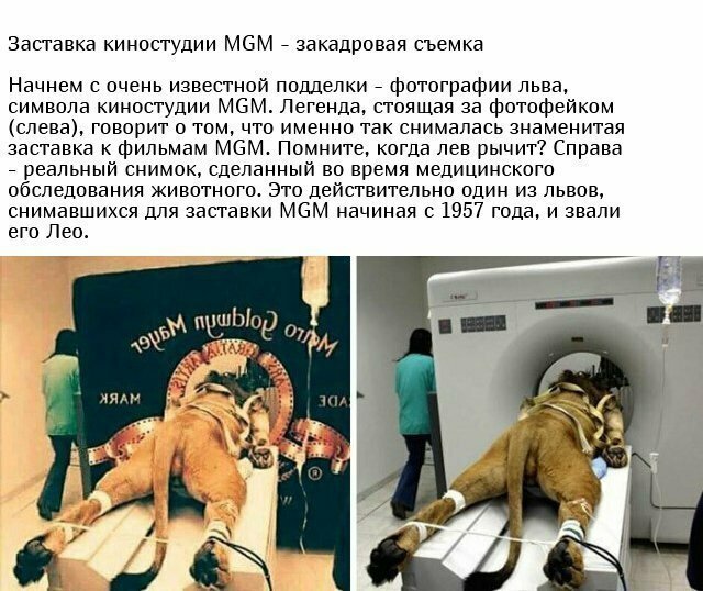 Разоблачение некоторых фотографий