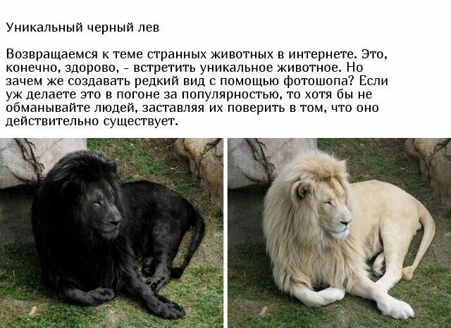 Разоблачение некоторых фотографий