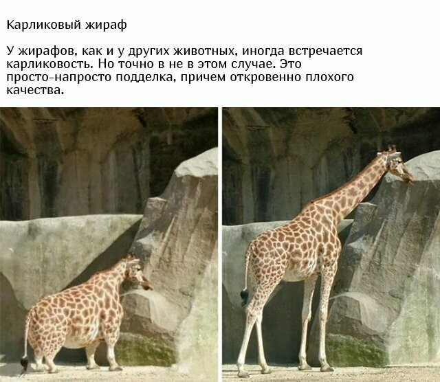 Разоблачение некоторых фотографий
